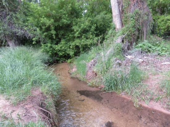 Medicine Lodge Creek!