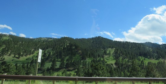 forested Wyoming mountains!