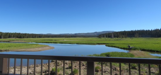 Yellowstone panorama!
