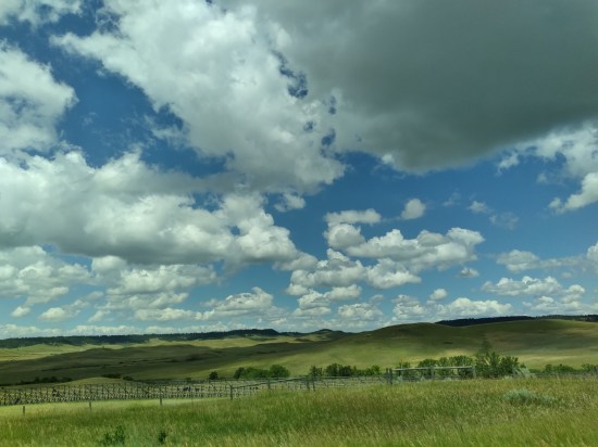 MS Windows wallpaper!