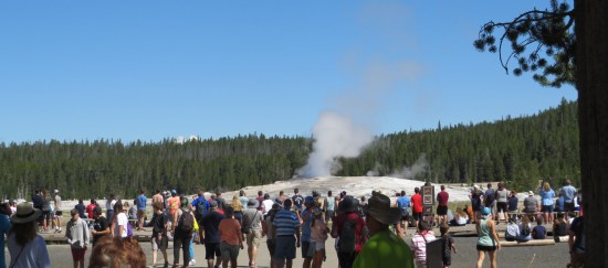 Old Faithful crowd!