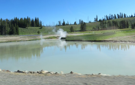 Yellowstone pond puffs!