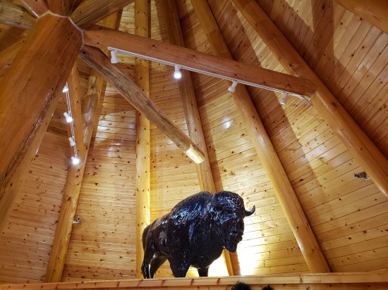 rafter buffalo!