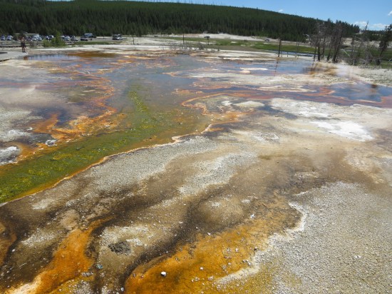 Biscuit Basin swirly colors!