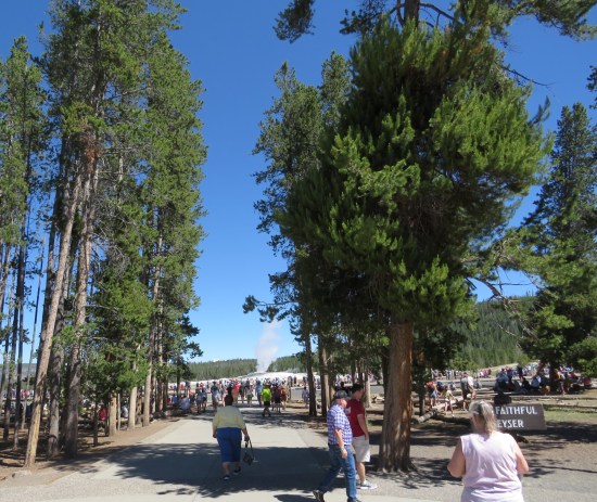 path to Old Faithful!