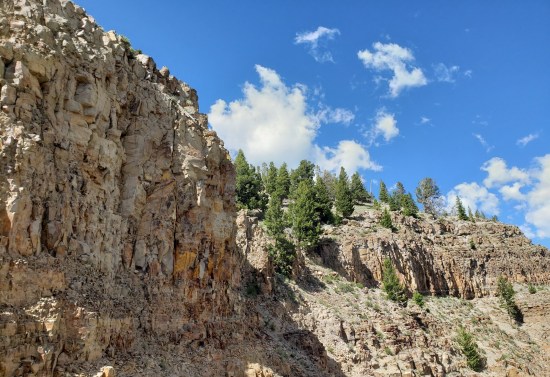 Yellowstone National Park!