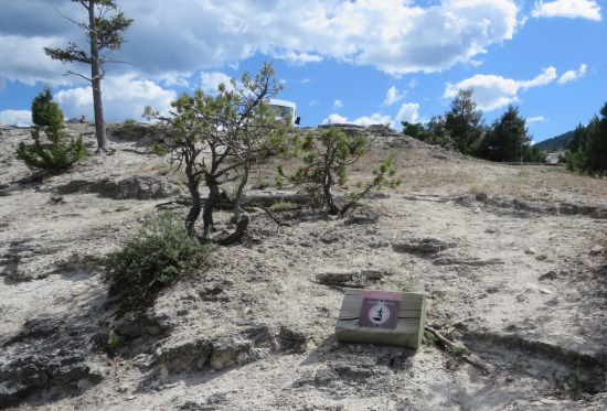 Keep Off Thermal Area!