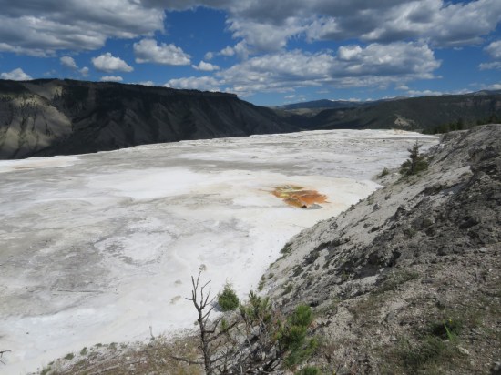 Mammoth Hot Springs travertine!