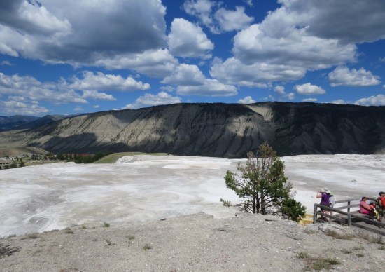 Mammoth Hot Springs Upper Terrace Yellowstone!