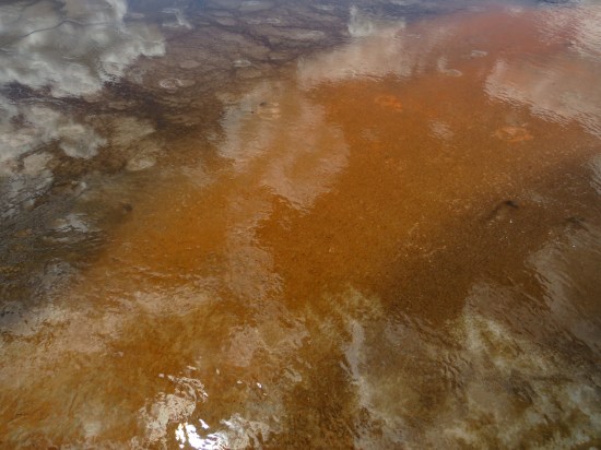 Grand Prismatic Spring orange closeup!