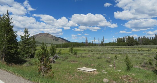 Yellowstone stone rectangle!