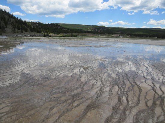 Grand Prismatic Spring veins!