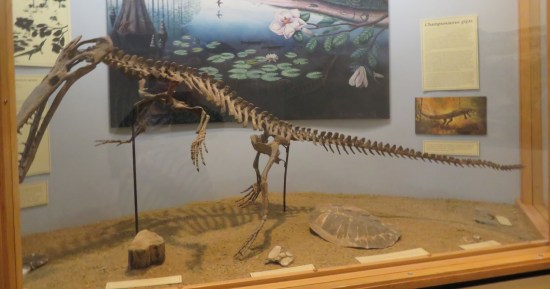 Champsosaurus Giga skeleton!