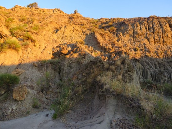 Makoshika cliff face.