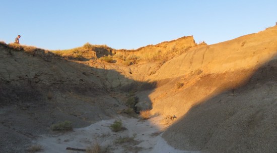 gold and grey and other hiker!