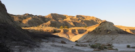 gold beyond shadows!