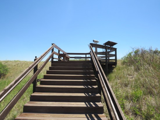 Pompeys Pillar pinnacle!