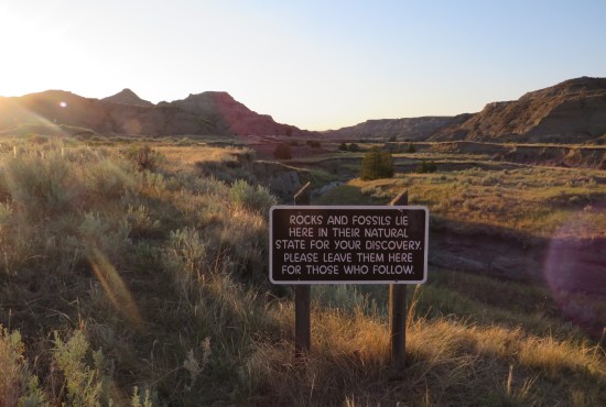 rocks and fossils sign!