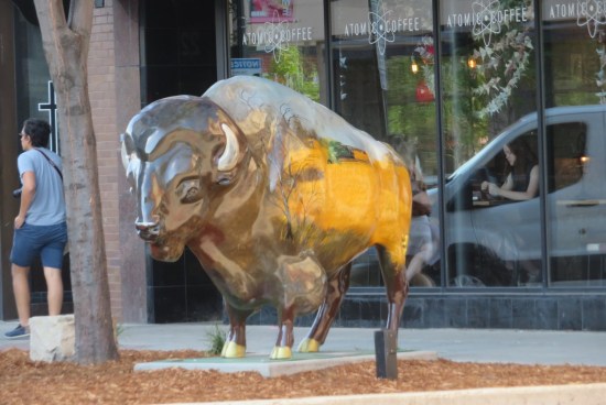 bison Nights in the Valley!