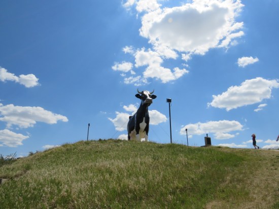 World's Largest Holstein Cow!