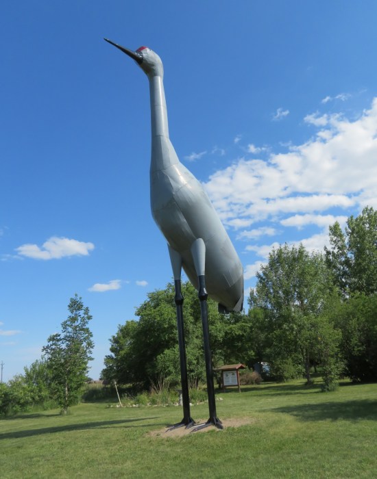 World's Largest Sandhill Crane, Steele, North Dakota!