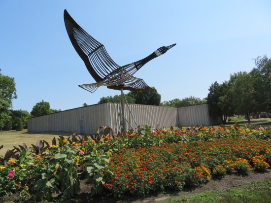 giant goose over flowers!