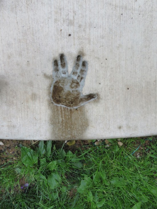 Vulcan salute handprint!