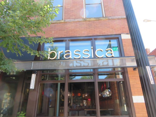Brassica Short North!
