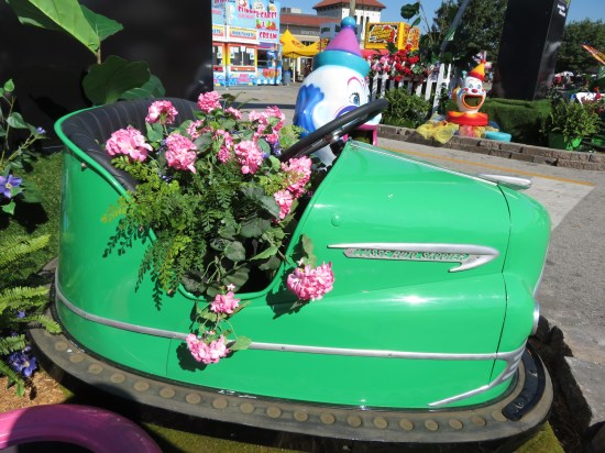 bumper car flowers!