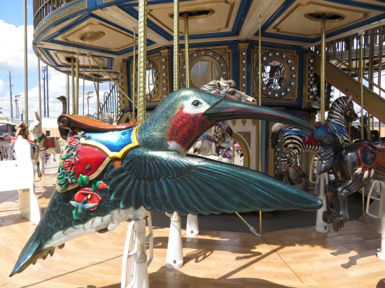 carousel hummingbird!