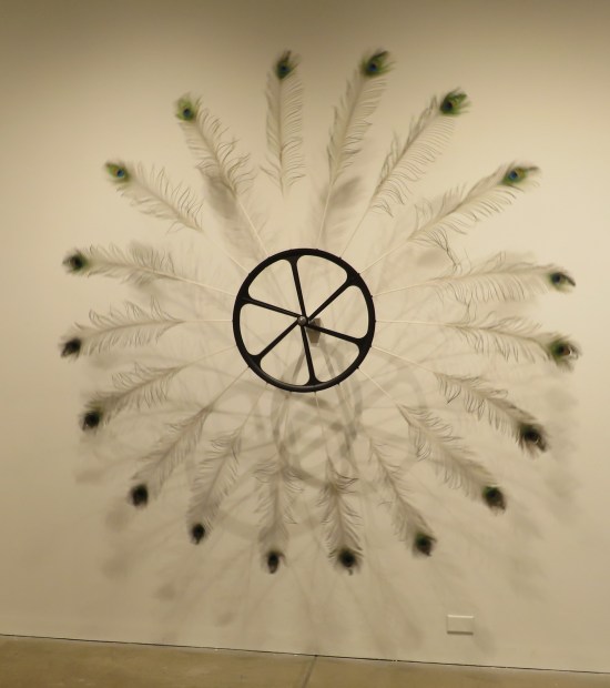 Bigger than my eyes!