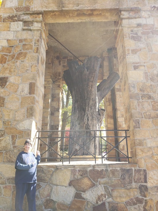 Anne, who is short, stands next to the Constitutional Elm.