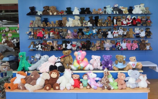 bears and not-bears!