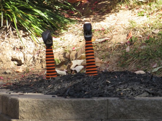 witch's feet sticking out of front yard