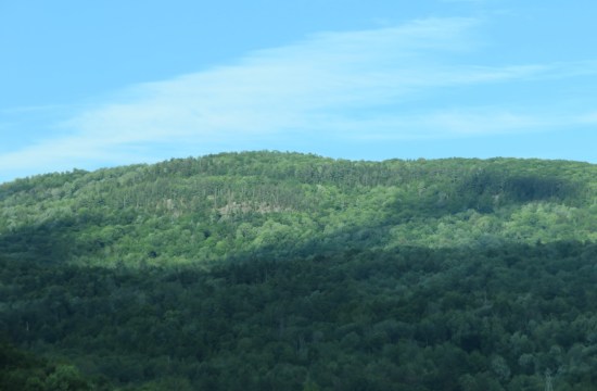 A Green Mountain forest covered by a single looming shadow.
