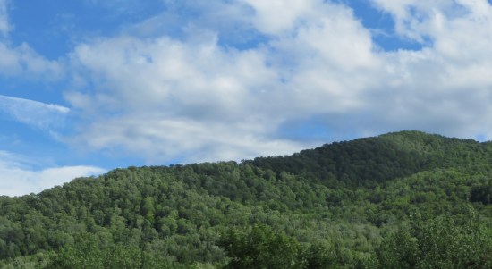 Green Mountains covered by forests that round off their tops.