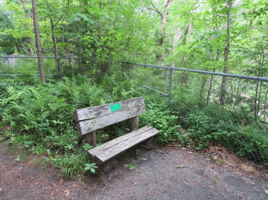 A bench on the path, next to the fence.