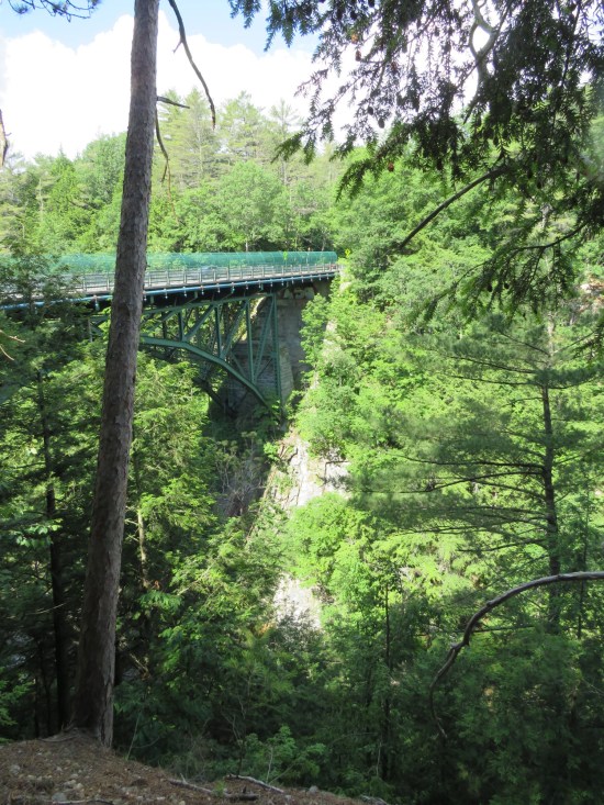 The center of Quechee Gorge Bridge, obscured by trees on either end.