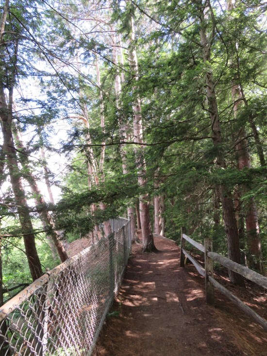 chain-link fence along the path.