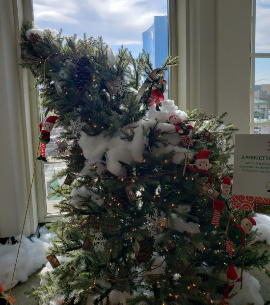 First Choice Tree Service tree, leaning on purpose.