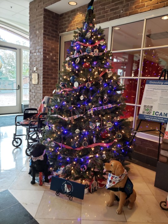 ICAN tree with doggos!