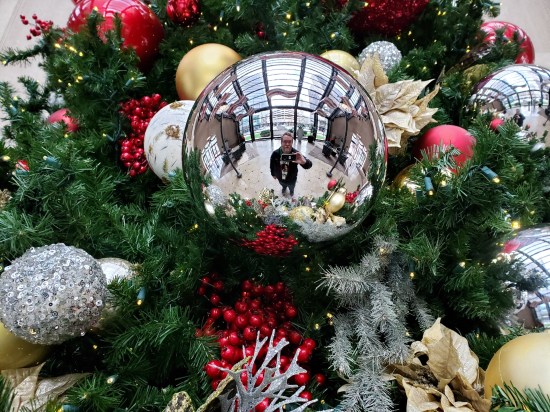 silver Christmas ornament selfie!