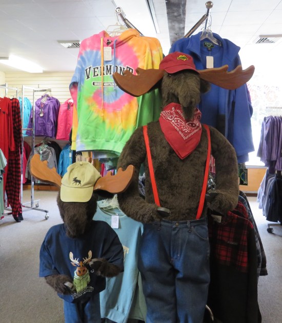 Two stuffed moose wearing Vermont gear.