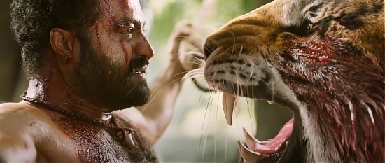 Man face-to-face with snarling tiger, confident he can take it.