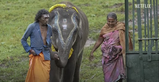 Two middle-aged elephant handlers guide a baby elephant whose head is painted for a Ganesha-related ceremony.