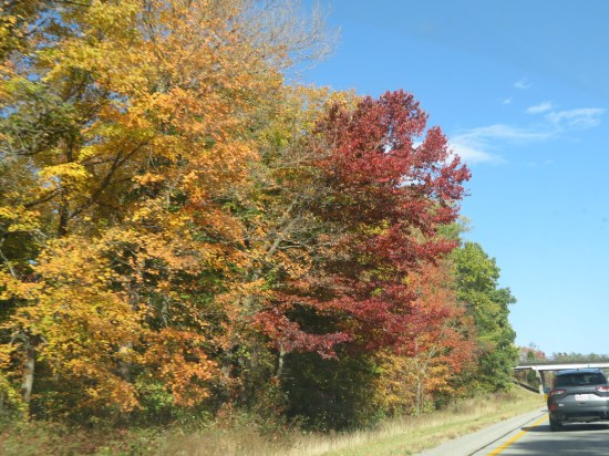 Deciduous trees along the interstate in various fall foliage colors.