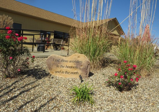 Some random greenery and flowers in their front yard with a rock that says, "I will show wonders in the heavens and in the earth".