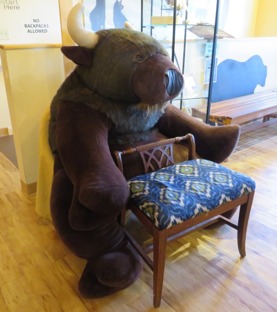 A five-foot-tall stuffed yak sitting on the hardwood floor behind a chair. For some reason a sign behind it says "No backpacks allowed."
