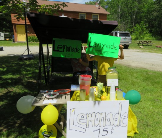 A lemonade stand with Mom and son holding green poster-board signs in front of their faces because we are internet strangers.