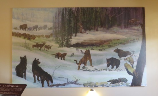 A painting of wolves, bears, wildcats, mammoths and other animals in ancient times.